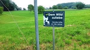 Zum weg schmeißen zu schade lautsprecher anschluss set und navigationskonsole. Steinen Sie Hegen Und Pflegen Den Wald Steinen Verlagshaus Jaumann