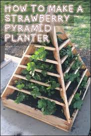 Dieses Projekt Wird Ihnen Selbst Angebaute Erdbeeren Geben Und Dabei Nur Einen Bruchteil Angebau In 2020 With Images Pyramid Planter Vertical Garden Diy Diy Garden Projects