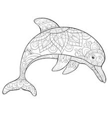 To search on pikpng now. Dolphins Adult Coloring Vector Images 96