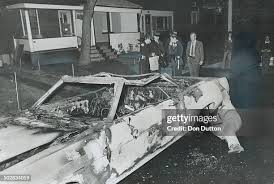 367 Toronto Humane Society Stock Photos, High-Res Pictures, and Images