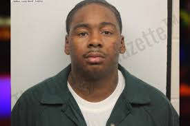 Divine Robinson: https://thegeorgiagazette.com/chatham/divine-robinson-5/