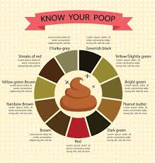 Image result for blood in stool human poop
