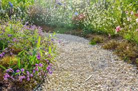 In einem „echten steingarten findet sich eine bepflanzung mit trockenheitsverträglichen pflanzen, die zugleich mit hitze bzw. Gartenweg Anlegen Schritt Fur Schritt Selbermachen De