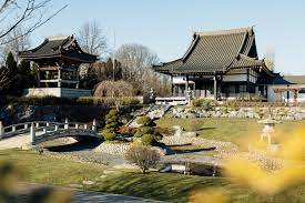 Herzlich willkommen bei japan haus restaurant brühl. Sampling Japanese Culture With The Locals In Dusseldorf S Little Tokyo Friends Of Friends Freunde Von Freunden