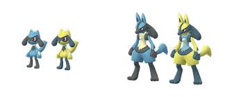 It evolves from riolu, its generation 4 baby form. Shiny Riolu Kostet In Pokemon Go Theoretisch 150 Euro