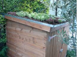 I added a thicker beam over the doorway to take the roof beams. How To Build A Roof Garden Creating A Green Roof