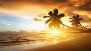 Hopefully can be inspiration for you. Hd Sunset Backgrounds 2021 Cute Wallpapers