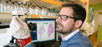 New biomarkers and cancer-driving genes found in the dark matter of the  cancer genome