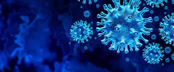 Stellar corona, the outer atmosphere of the sun or another star. Rise Of Fake Corona Cures Revealed In Global Counterfeit Medicine Operation Europol