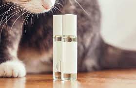Essential Oils To Keep Cats Off Counters