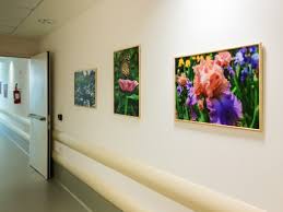 Photographic Art in Hospitals Aids The ...