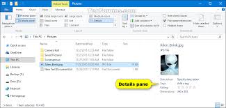Use the properties command in windows explorer to unlocke the file. Show Or Hide Details Pane In File Explorer In Windows 10 Tutorials
