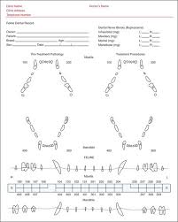 Dental And Oral Cavity Veterian Key