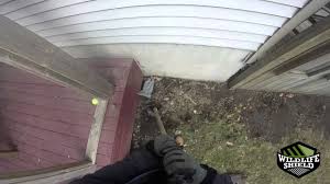 Like the old saying goes, prevention is better than cure, and the best way to get rid of raccoons is to stop them from even coming in the first place. Raccoons Under Deck Deck Exclusion Wildlife Shield Youtube