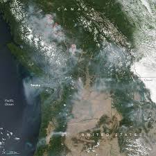 Advisor submits initial action plan and specialized. 2017 British Columbia Wildfires Wikipedia