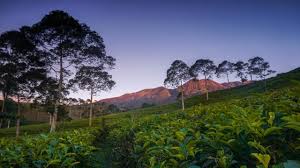 Begerak dalam bidang kesehatan yang memberikan berbagai layanan seperti poliklinik kebidanan dan kandungan, poliklinik spesialis anak, poliklinik gig. 25 Wisata Karanganyar Paling Populer Nikmati Sejuknya Pegunungan Lawu Hot Liputan6 Com