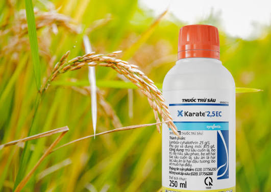 Karate 2.5EC