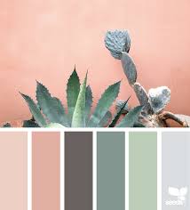 Cacti Color Color Inspiration Colour Schemes Color Schemes