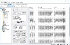ファイル名を思い通りに一括変更できる Flexible Renamer Windowsにまず入れる定番無料アプリ 2018年版 窓の杜
