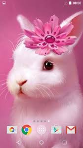 See more ideas about fundaluri, fundaluri haioase, fundal disney. Animale DrÄƒguÈ› Imagini Fundal Ultima Versiune Pentru Android DescÄƒrcaÈ›i Apk