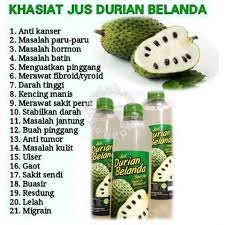 Последние твиты от jus durian belanda (@durianjus). Pl Jus Plus Durian Belanda New Packaging 100 Ori Shopee Malaysia