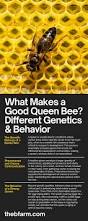 Image result for Queen bee