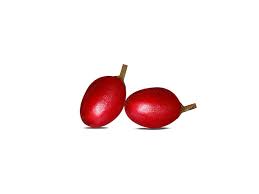 Image result for Synsepalum