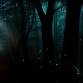 Nature’s Night Lights Hike