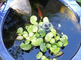 Installation of pond heaters can be easy or difficult depending on your level of expertise and the model. Pin By Venice Beach Adornments Boho On Ecosophie Garden Design Garden Yard Ideas Water Garden Fountain Grass