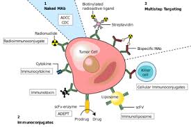 And cream 0.1 percent in treatment of psoriasis: Monoclonal Antibody Therapy Wikipedia