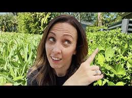 Kelsey Fair's Instagram, Twitter & Facebook