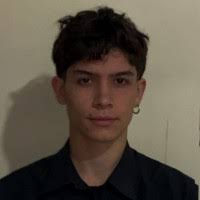 Luiz Henrique Borba Santos