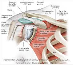 Maybe you would like to learn more about one of these? Shoulder Injury Pain Explained Shoulder Pain Kevin Mangum D O