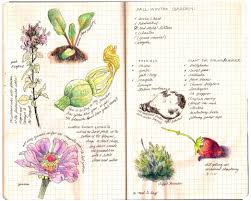 Beautiful Garden Journal Art Journal Pages Nature Sketch Garden Journal