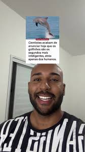 Golfinhos: Segundos mais inteligentes após humanos