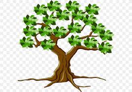 This video is about how you can grow a branch to have roots. Tree Leaf Root Png 600x577px Tree Branch Cartoon Comics Flower Download Free
