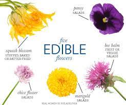 404 Page Not Found Eatable Flowers Edible Flowers Flower Food