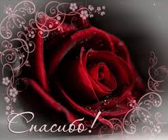       , ... -   , , 