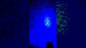 How To See Cat Or Dog Urine With Uv Blacklight Flashlight Youtube