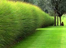 Cdeco Le Nouveau Site D Inspiration Dedie A La Decoration Beaux Jardins Idees Jardin Jardins