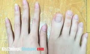 We did not find results for: Mimpi Jari Menurut Erek Erek 4d 3d 2d
