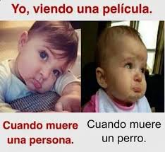 Pin En Memes Divertidos