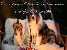 Auguri Di Buon Anno 100 Frasi Divertenti E Immagini Ironiche Per Iniziare L Anno Con Il Sorriso Aforismi E Citazioni