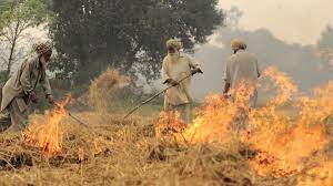 It Will Take 4-5 Years to Properly Resolve Stubble Burning Issue: Punjab  Pollution Control Body 