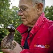 Best Animal Planet Shows On Now