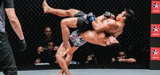 If you're serious about contending in mma then an investment in your gym is an investment in your career. How To Get Into Mma Become An Mma Fighter Beginners Guide