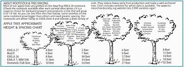13 Rigorous Tree Spacing Chart