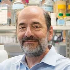 Scientific Advisory Board — US MEF2C Foundation