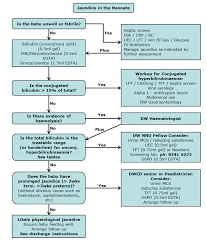 Clinical Practice Guidelines Jaundice Flowchart