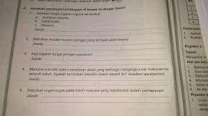 Check spelling or type a new query. Minta Bantuannya Dong Pliss Saya Butuh Bantuan Brainly Co Id